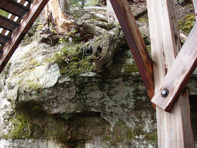 314 Memorial Day [2008 May 23].JPG - Scenes from Tahquanemon Falls in the Michigan Upper Peninsula.